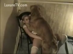 Dog sucks a sexy college slut